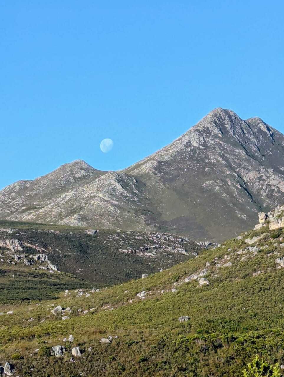 Kogelberg Nature Reserve Complex