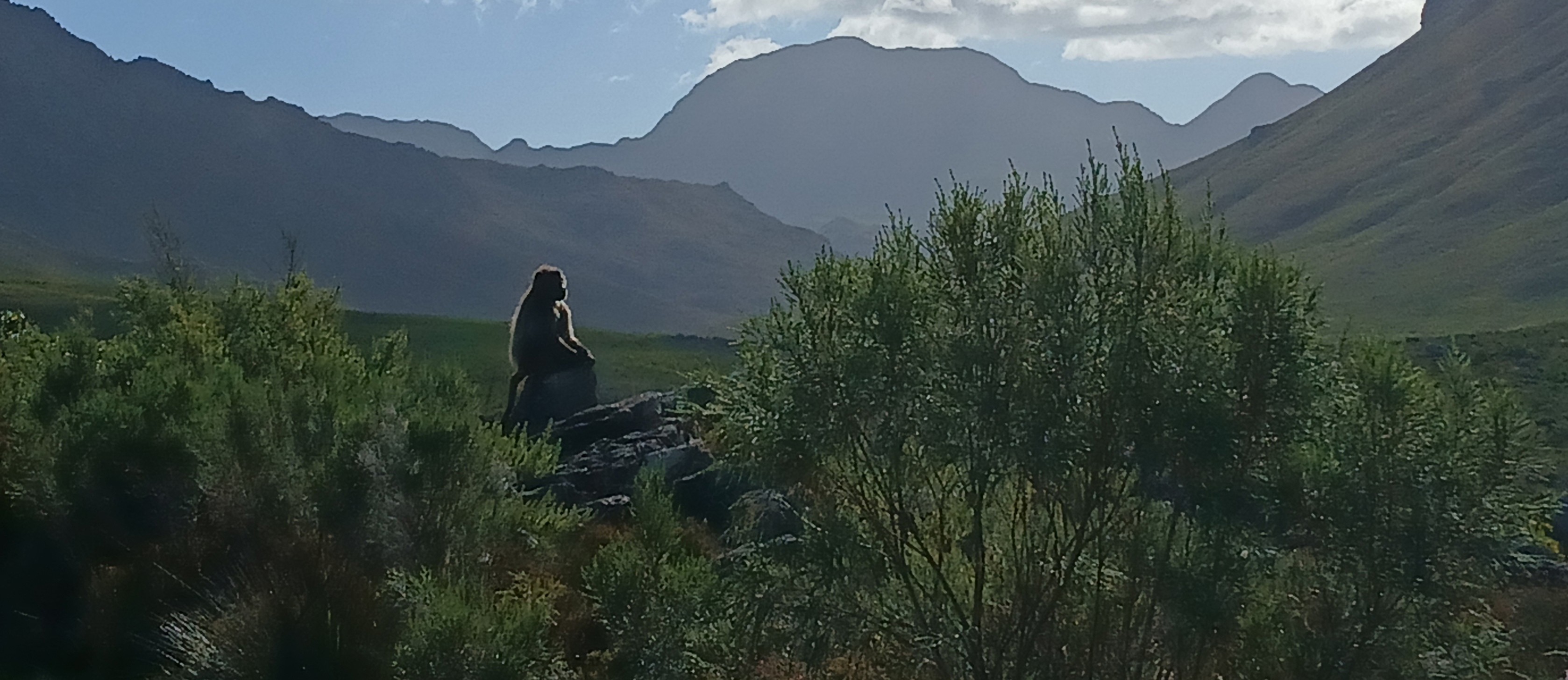 Palmiet Nature Hike